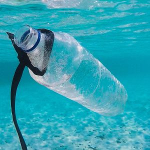 Plastics Recycling By Numbers