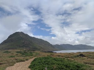 Sustaining Hawaiʻi: Biodiversity and Economic Benefits of Sand Dune Restoration