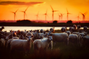 Farming Climate Destruction