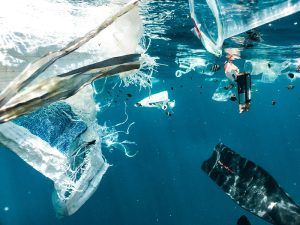 Saving Earth with Sustainable Products