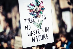 The Intersection of Science and Community in Environmental Conservation