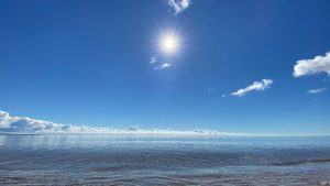 The Efficacy of a Sunscreen Ban: Chemical vs Mineral Sunscreens
