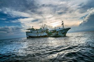 Illegal Fishing & How to Conserve the Health of Our Ocean