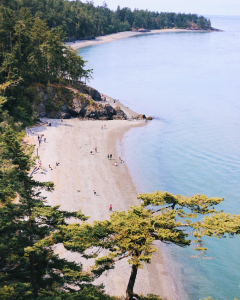 Washington’s Lengthy Battle to Protect Water and Fish