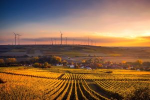 Educating Today for a Sustainable Tomorrow