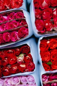 Seasonal Waste: Show the Planet Some Love This Valentine’s Day