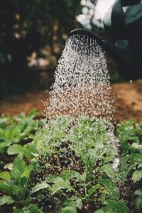 World Water Day 2021: What Does Water Mean to You?