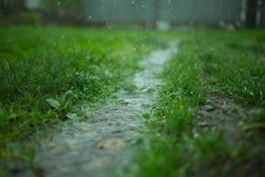 Going Green! The Benefits of Installing Green Stormwater Infrastructure