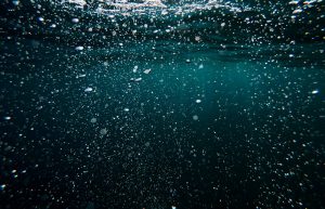 From Promise to Action: Surfrider Foundation’s Efforts to Mitigate Marine Plastic Pollution
