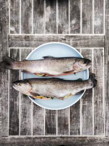 Chemical Warfare in the Deep: Biomagnification Making Its Way to Our Dinner Table