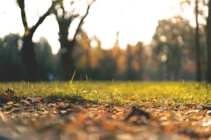 What Does the Future of Composting Hold?