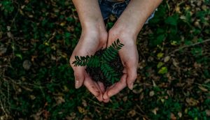 Earth Awareness Month