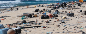 Combating Marine Debris in Papahānaumokuākea Marine National Monument