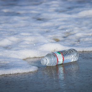 Bottled Water vs. Your Tap
