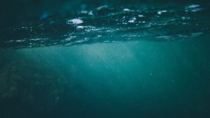 Using Microplastic Regulations to Incentivize Innovation and Environmental Safety