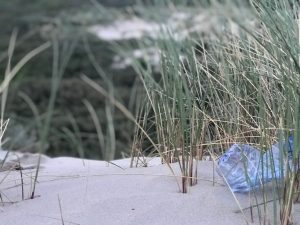 Bioplastics: The Answer or a New Problem?