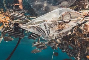 Plastic Free Outdoors: Honoring Nature, Preventing Plastic Pollution