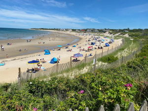 Enjoy – And Protect – Our Massachusetts Beaches This Summer