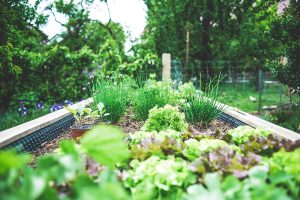 Earth Awareness Month: Keeping Food Habits Sustainable