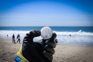 What are Microplastics?