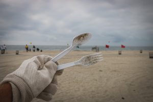 Greenwashing: How Can We Identify It?
