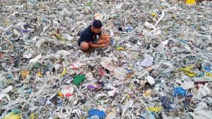 Seaside Sustainability Hosts Virtual Panel on The Story of Plastic