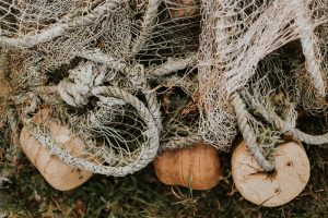 Industrial Scale Fishing is Destroying Our Oceans
