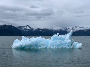 UN Decade on Ecosystem Restoration: 10 Years to Heal the Planet