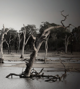 This Month in Climate History
