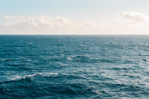 The West Coast Energy Project