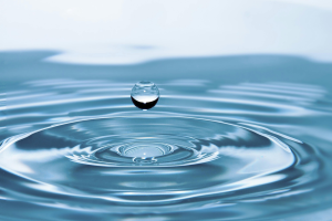 Conserving Water Indoors and Outdoors