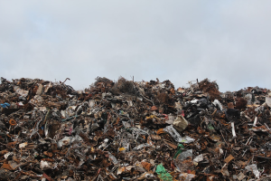 A Zero Waste Nation