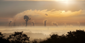 The Impacts of Coal Fired Power Plants