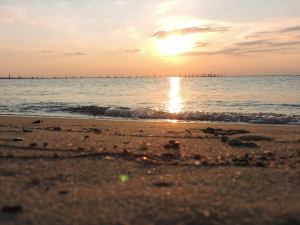 Rising sea levels: What is in store for New England?