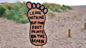 How Ecotourism Legislation Can Help Protect the Environment: Recommendations and Best Practices