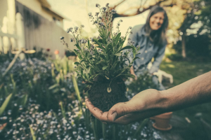 Holistic Measures in Place of Toxic Pesticide Use