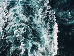 How the ‘Tragedy of the Commons’ Can Amplify the Importance of World Oceans Day