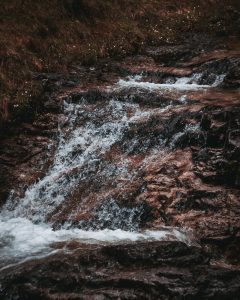 PFAS part one: What are PFAS and how are they impacting marine ecosystems?