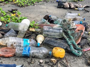 A Hopeful Outlook on Plastic Pollution: Webinar Summary