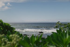 8 Organizations Fighting to Save Our Oceans