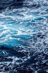 Oceanic Dead Zones Part 1