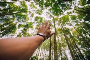 Involvement and Initiative in Environmental Advocacy