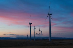 Carbon Tax Policy Analysis