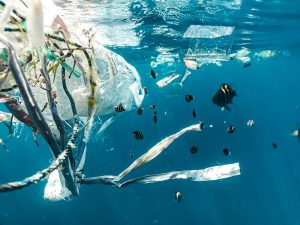 NPDES: Legislation that Protects our Oceans