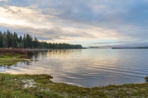 Single-use Plastics Impacting the Great Lakes